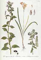  no thumbnail available