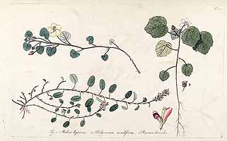  no thumbnail available