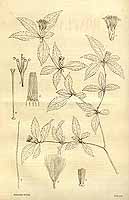  no thumbnail available