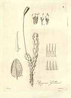  no thumbnail available