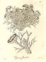  no thumbnail available