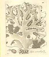  no thumbnail available