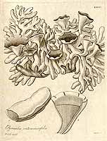  no thumbnail available