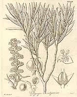  no thumbnail available