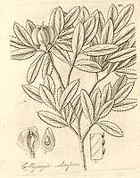  no thumbnail available