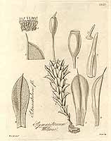  no thumbnail available