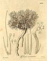  no thumbnail available