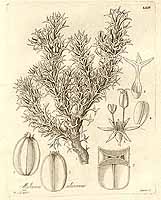  no thumbnail available