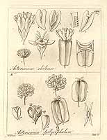  no thumbnail available