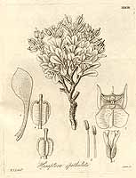  no thumbnail available