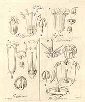  no thumbnail available