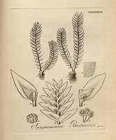  no thumbnail available