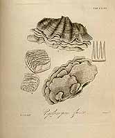  no thumbnail available