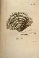  no thumbnail available