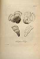  no thumbnail available