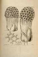  no thumbnail available