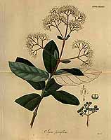  no thumbnail available