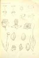  no thumbnail available