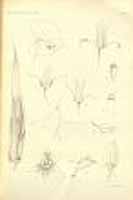  no thumbnail available