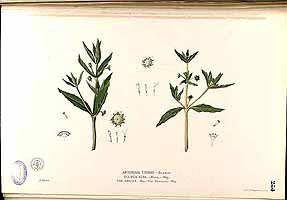  no thumbnail available