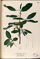  no thumbnail available