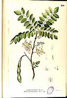  no thumbnail available