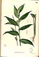  no thumbnail available