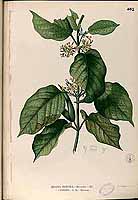  no thumbnail available