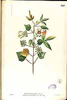  no thumbnail available