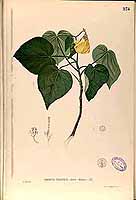  no thumbnail available