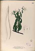  no thumbnail available