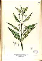  no thumbnail available