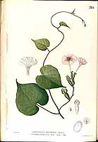  no thumbnail available