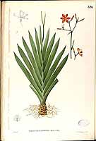  no thumbnail available