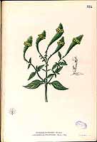  no thumbnail available