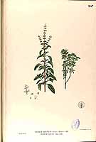  no thumbnail available