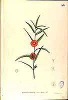  no thumbnail available