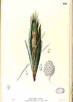  no thumbnail available