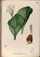  no thumbnail available