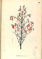  no thumbnail available