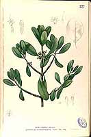  no thumbnail available