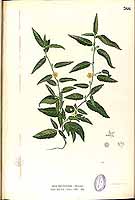  no thumbnail available