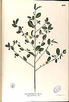  no thumbnail available