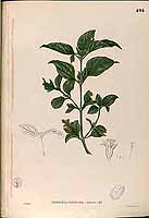  no thumbnail available