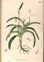  no thumbnail available