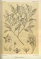  no thumbnail available