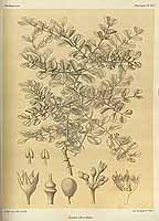  no thumbnail available