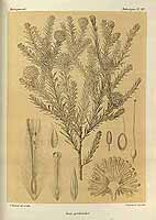  no thumbnail available