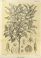  no thumbnail available