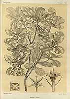  no thumbnail available